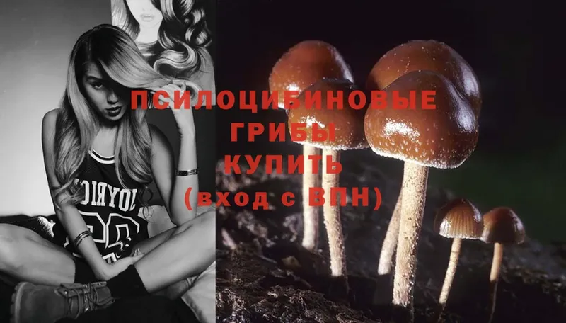 Псилоцибиновые грибы Cubensis  Ялуторовск 